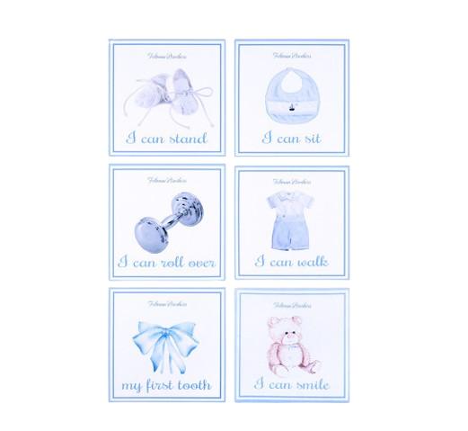 Feltman Brothers Baby Milestone Cards